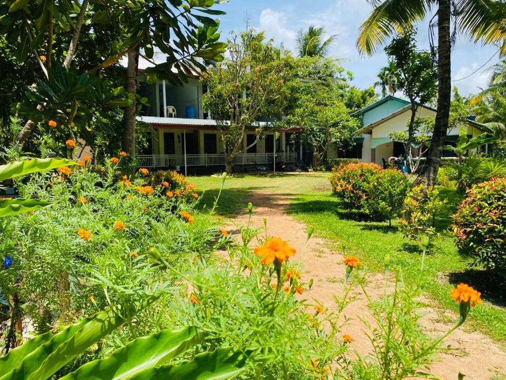 Coconut Grove - Midigama Otel Dış mekan fotoğraf