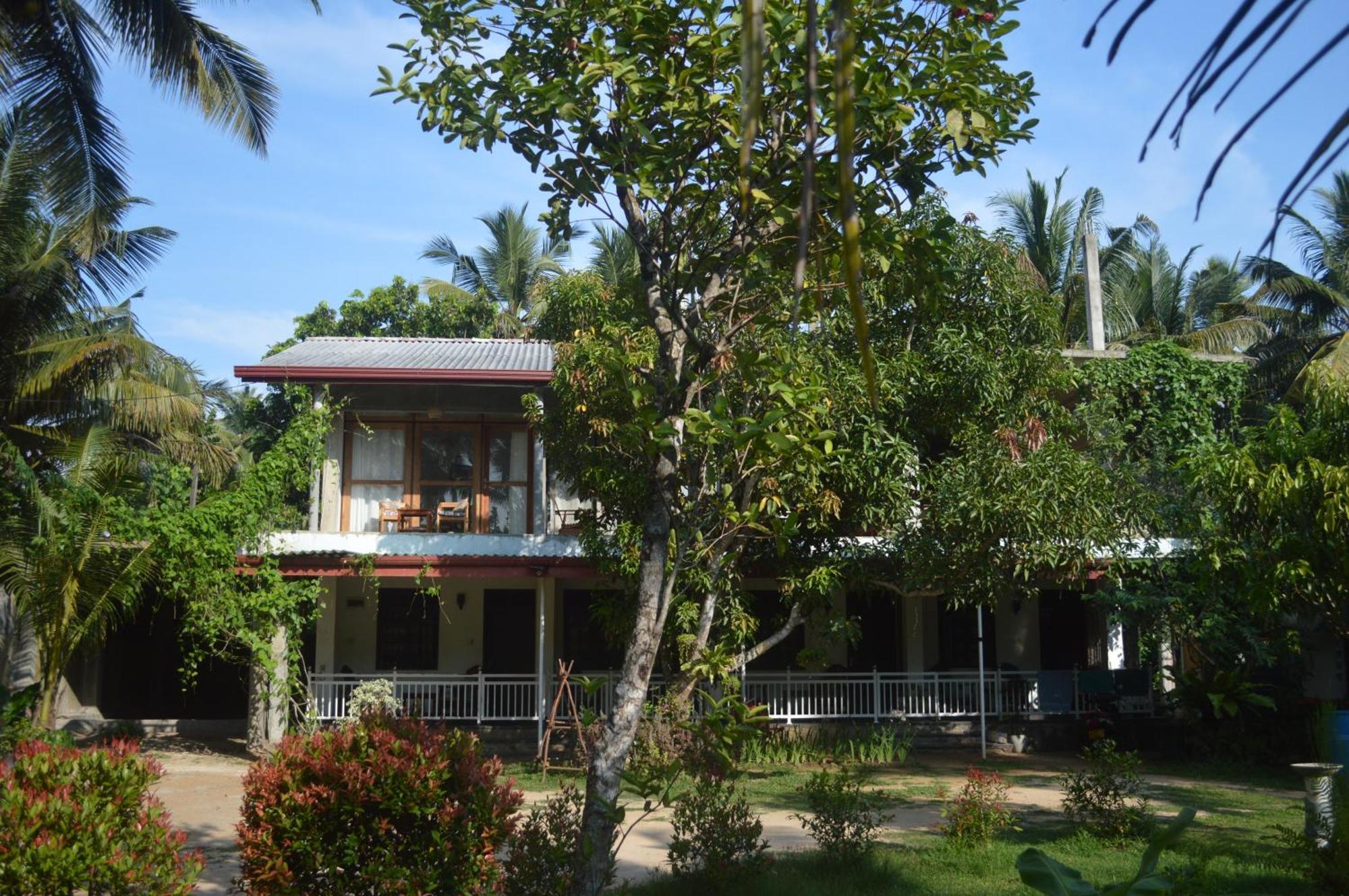 Coconut Grove - Midigama Otel Dış mekan fotoğraf