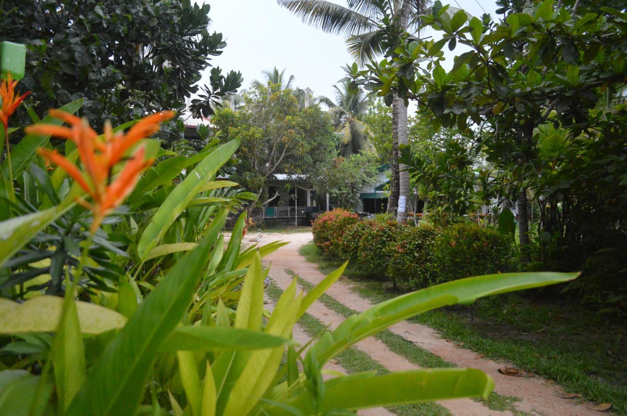 Coconut Grove - Midigama Otel Dış mekan fotoğraf