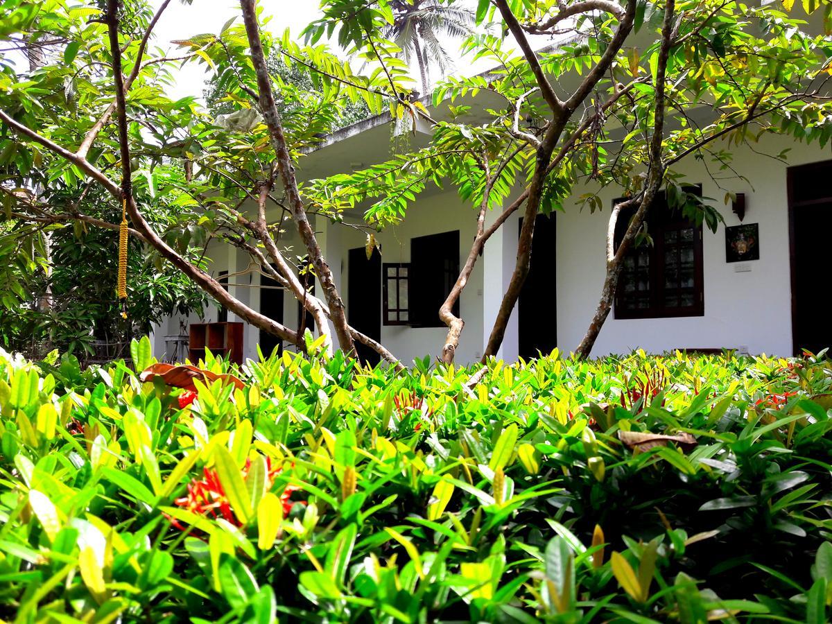 Coconut Grove - Midigama Otel Dış mekan fotoğraf
