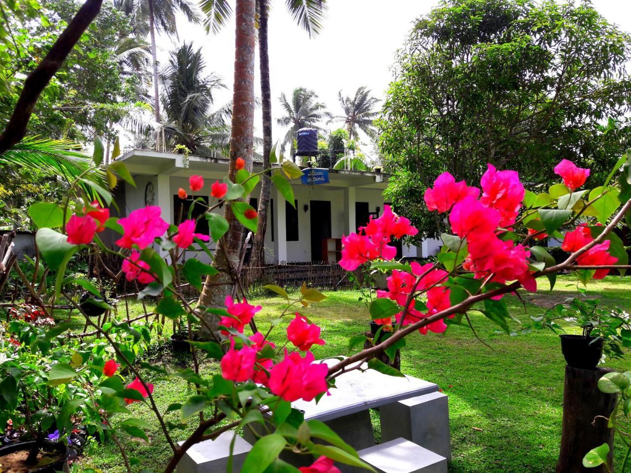 Coconut Grove - Midigama Otel Dış mekan fotoğraf