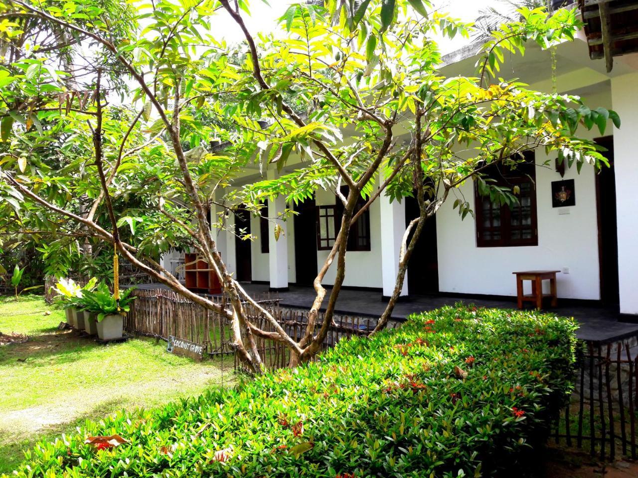 Coconut Grove - Midigama Otel Dış mekan fotoğraf
